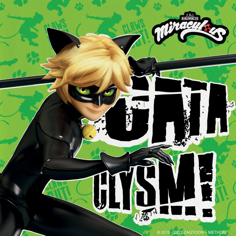 Cat-Noir-Miraculous-Serviette-Kindergeburtstag-Party-Deko