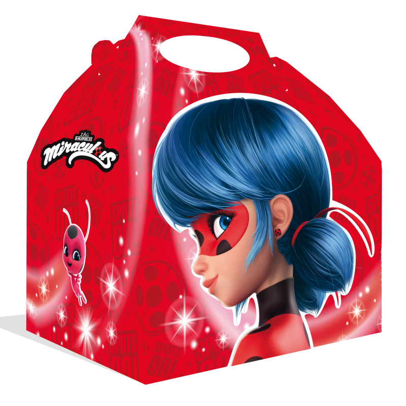 Miraculous-/-Ladybug-Mitgebselbox-/-Snackbox-Kindergeburtstag-Party-Deko