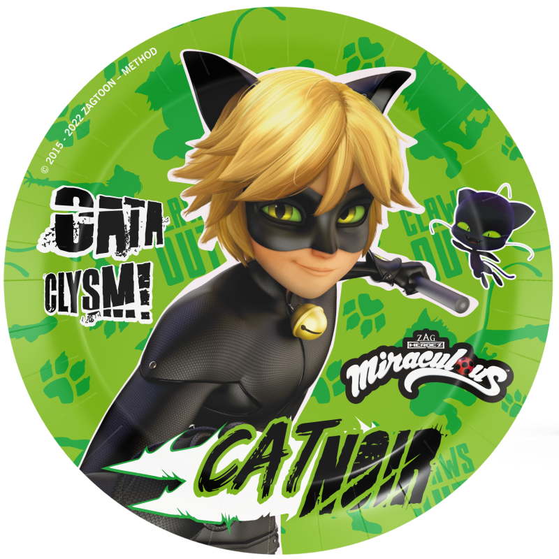 Cat-Noir-Miraculous-Party-Teller-Kindergeburtstag-Party-Deko