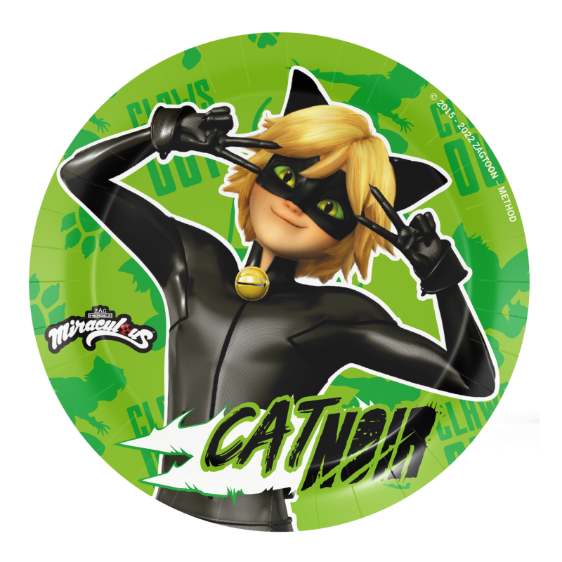 Cat-Noir-Miraculous-Kuchen-Teller-Kindergeburtstag-Party-Deko