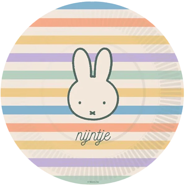 Miffy Party