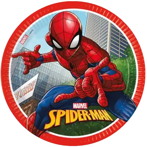 Spiderman Party