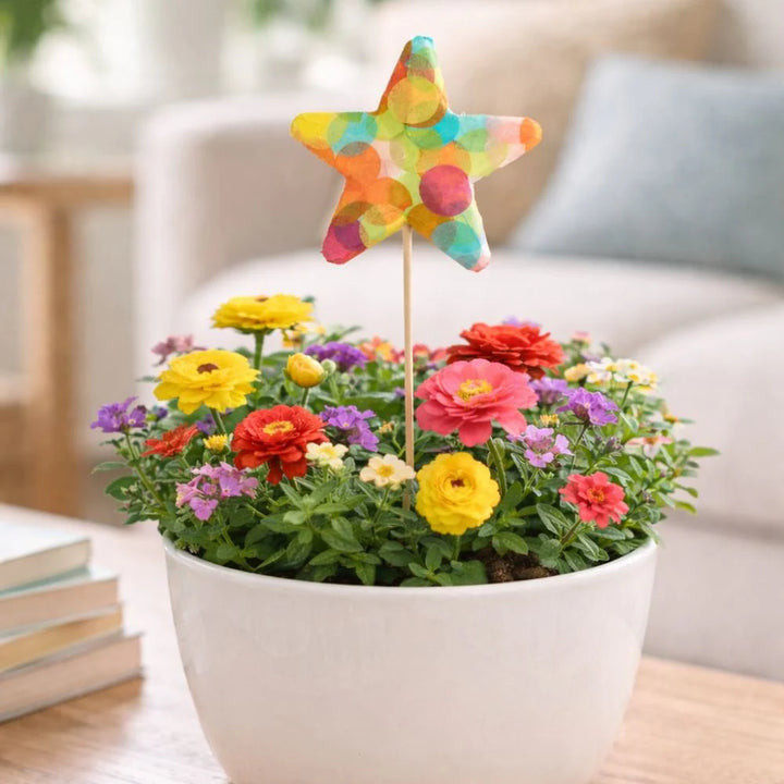 Bastelset Sterne mit Konfetti dekorieren, 5er Set