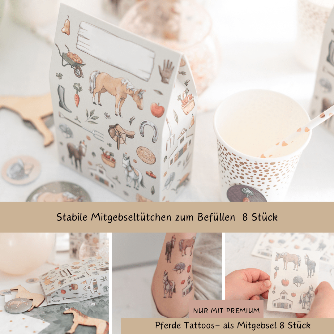 Mottobox-Pferde-Geburtstag
