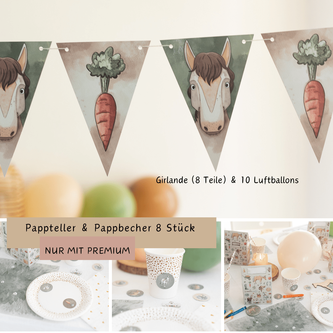 Mottobox-Pferde-Geburtstag