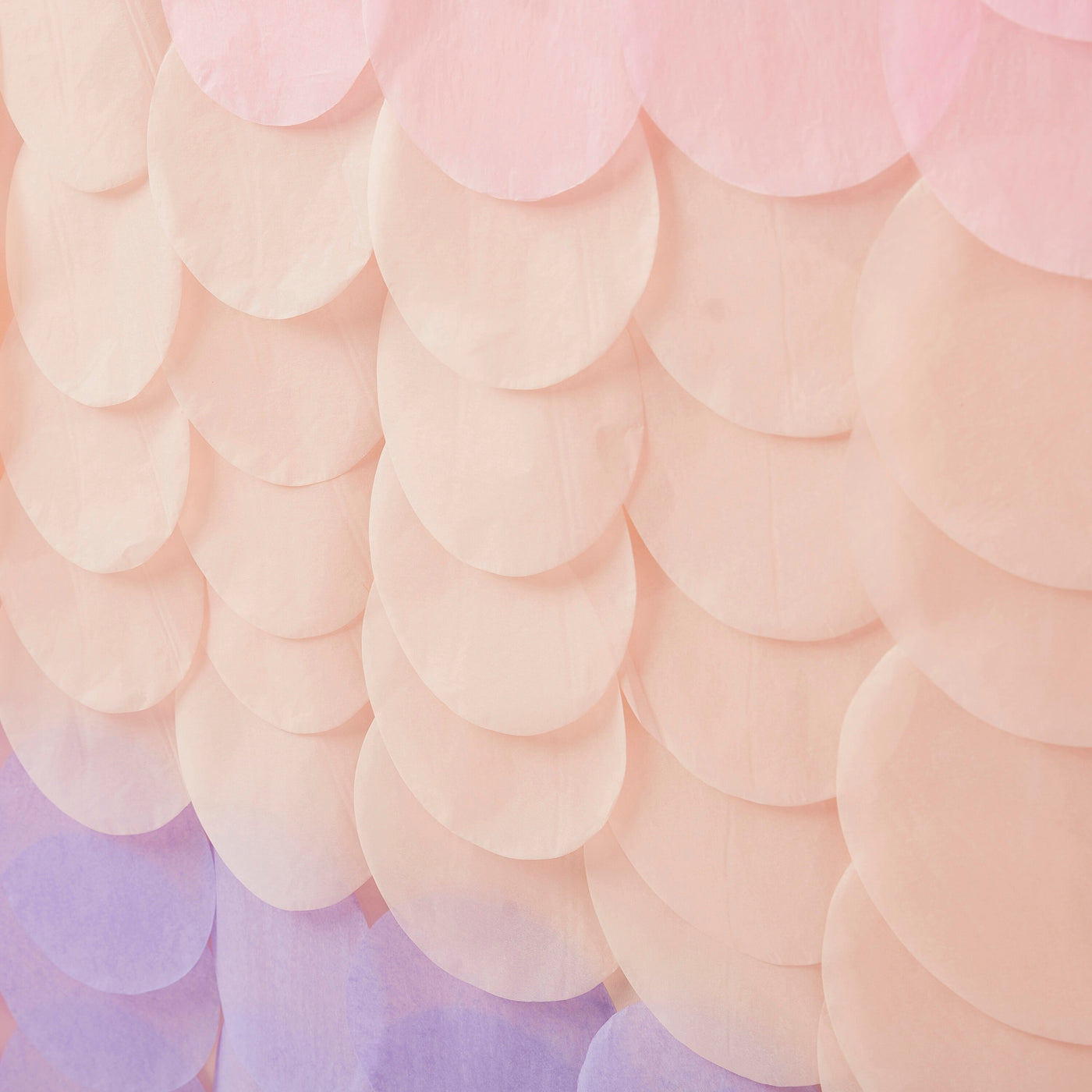 Seidenpapier Vorhang, rosa/pink/violett, Meerjungfrauen Party, 18 Stränge